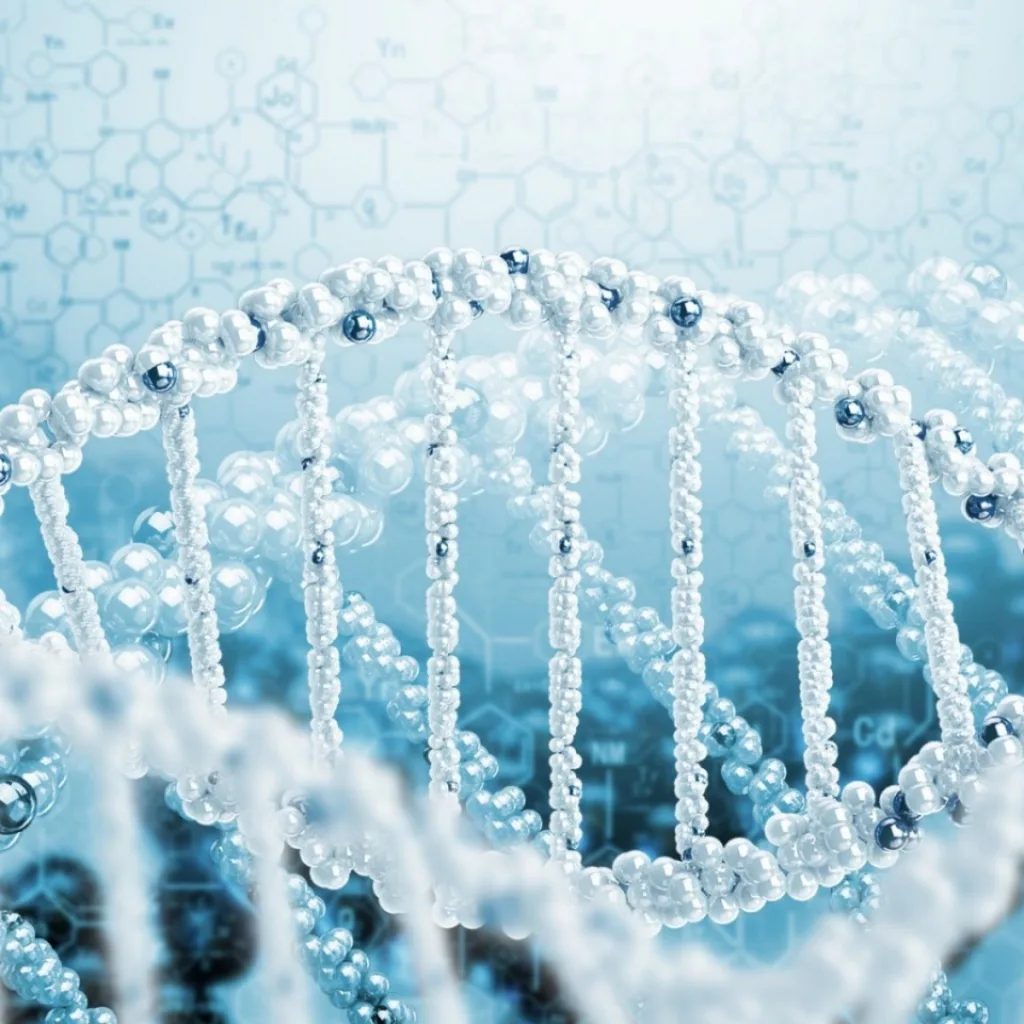 Wissenwertes zu der DNA bei einer Eizellenspende über das Embryo - IVOX Klinik