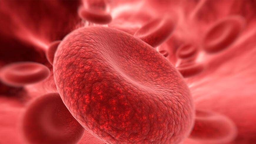 Nabelschnur Einlagerung