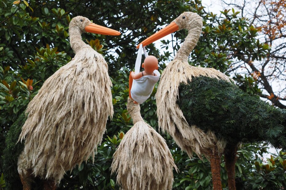 IVF Nordzypern Klinik - Kinderwunsch